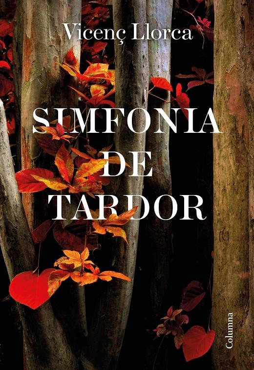SIMFONIA DE TARDOR | 9788466427357 | LLORCA BERROCAL, VICENÇ | Llibreria La Puça | Llibreria online d'Arsèguel - Comprar llibres en català online - Llibres Andorra i Pirineu