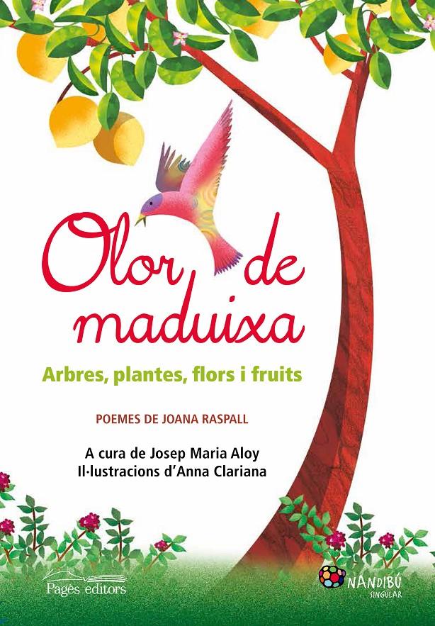 OLOR DE MADUIXA | 9788499757186 | RASPALL, JOANA | Llibreria La Puça | Llibreria online d'Arsèguel - Comprar llibres en català online - Llibres Andorra i Pirineu