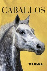 CABALLOS | 9788499283999 | Llibreria La Puça | Llibreria online d'Arsèguel - Comprar llibres en català online - Llibres Andorra i Pirineu
