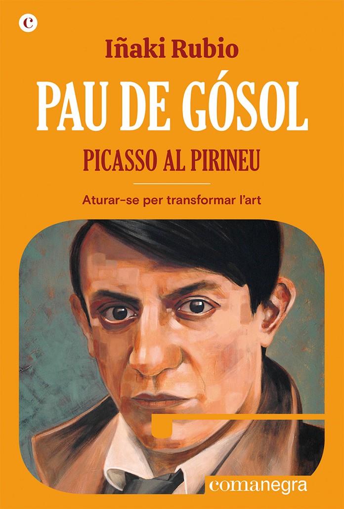 PAU DE GÒSOL | 9788419590404 | RUBIO, IÑAKI | Llibreria La Puça | Llibreria online d'Arsèguel - Comprar llibres en català online - Llibres Andorra i Pirineu