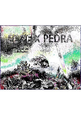 PEIX PEDRA | 9788494246982 | OLLÉ, M. ANGELS | Llibreria La Puça | Llibreria online d'Arsèguel - Comprar llibres en català online - Llibres Andorra i Pirineu