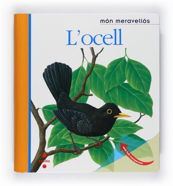 OCELL,L' | 9788466125161 | DELAFOSSE, CLAUDE/METTLER, RENÉ/GALLIMARD JEUNESSE, ÉDITIONS | Llibreria La Puça | Llibreria online d'Arsèguel - Comprar llibres en català online - Llibres Andorra i Pirineu
