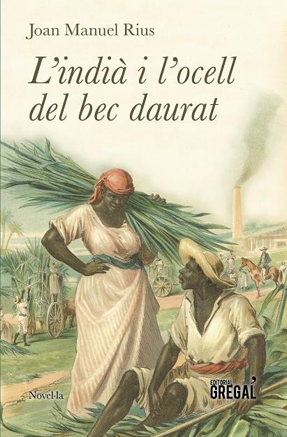 INDIÀ I L'OCELL DEL BEC DAURAT, L' | 9788417082123 | RIUS, JOAN MANUEL | Llibreria La Puça | Llibreria online d'Arsèguel - Comprar llibres en català online - Llibres Andorra i Pirineu