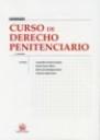 CURSO DE DERECHO PENITENCIARIO.2ª ED. | 9788484563075 | VV.AA | Llibreria La Puça | Llibreria online d'Arsèguel - Comprar llibres en català online - Llibres Andorra i Pirineu
