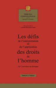 DÉFIS DE L’INTERPRÉTATION ET DE L’APPLICATION DES DROITS DE L’HOMME, LES | 9782233008404 | DE L'OUVERTURE AU DIALOGUE | Llibreria La Puça | Llibreria online d'Arsèguel - Comprar llibres en català online - Llibres Andorra i Pirineu