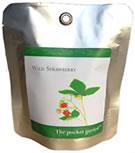 PLANTAS Y FLORES.FRESA SILVESTRE | 5060119450054 | Llibreria La Puça | Llibreria online d'Arsèguel - Comprar llibres en català online - Llibres Andorra i Pirineu