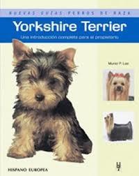 YORKSHIRE TERRIER | 9788425516825 | Llibreria La Puça | Llibreria online d'Arsèguel - Comprar llibres en català online - Llibres Andorra i Pirineu