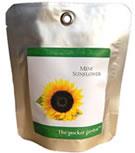 PLANTAS Y FLORES.GIRASOL | 5060119450122 | Llibreria La Puça | Llibreria online d'Arsèguel - Comprar llibres en català online - Llibres Andorra i Pirineu