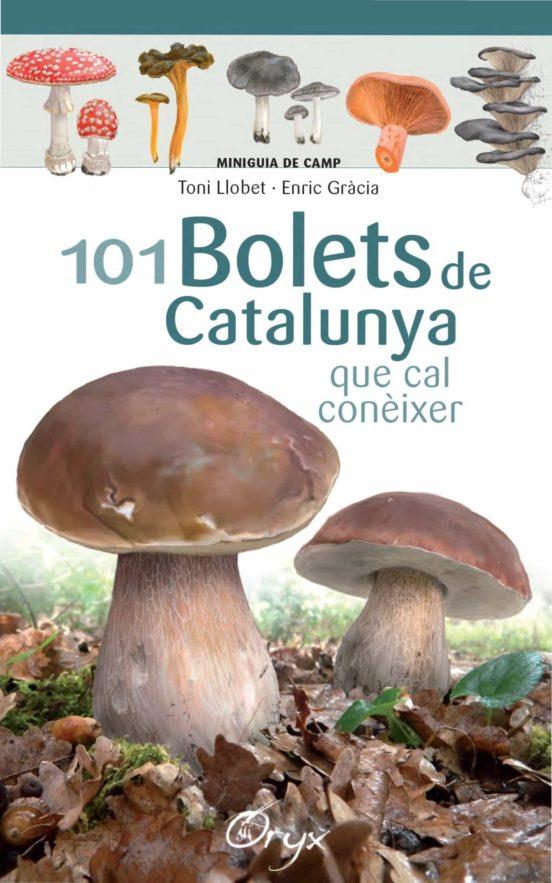 101 BOLETS DE CATALUNYA QUE CAL CONÈIXER | 9788490347096 | LLOBET, TONI - GRÀCIA, ENRIC | Llibreria La Puça | Llibreria online d'Andorra - Comprar llibres en català online - Llibres Andorra i Pirineu