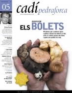CADIPEDRAFORCA 5.ELS BOLETS | CADIPEDRAFORCA5 | Llibreria La Puça | Llibreria online d'Andorra - Comprar llibres en català online - Llibres Andorra i Pirineu