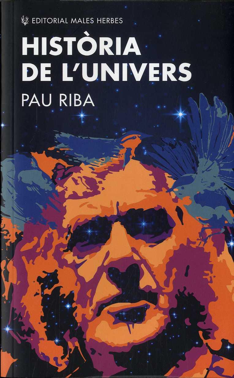 HISTÒRIA DE L'UNIVERS | 9788412216776 | RIBA, PAU | Llibreria La Puça | Llibreria online d'Andorra - Comprar llibres en català online - Llibres Andorra i Pirineu