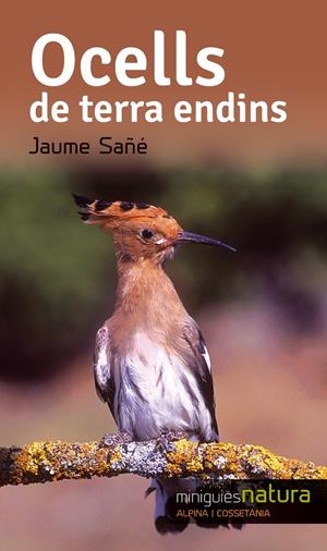 OCELLS TERRA ENDINS | 9788490343357 | SAÑÉ PONS, JAUME | Llibreria La Puça | Llibreria online d'Arsèguel - Comprar llibres en català online - Llibres Andorra i Pirineu