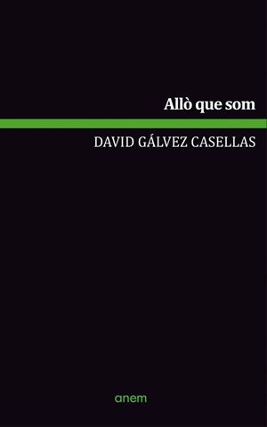 ALLÒ QUE SOM | 9789992065273 | GÁLVEZ CASELLAS, DAVID | Llibreria La Puça | Llibreria online d'Arsèguel - Comprar llibres en català online - Llibres Andorra i Pirineu