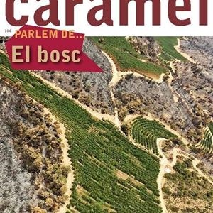 REVISTA CARAMELLA Nº 42 | CARA42 | Llibreria La Puça | Llibreria online d'Arsèguel - Comprar llibres en català online - Llibres Andorra i Pirineu