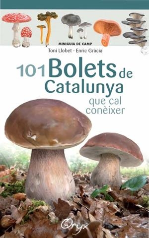 101 BOLETS DE CATALUNYA QUE CAL CONÈIXER | 9788490347096 | LLOBET, TONI - GRÀCIA, ENRIC | Llibreria La Puça | Llibreria online d'Arsèguel - Comprar llibres en català online - Llibres Andorra i Pirineu