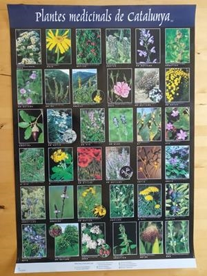 PLANTES MEDICINALS DE CATALUNYA (1). PÓSTER | 5672001 | AGELET, ANTONI | Llibreria La Puça | Llibreria online d'Arsèguel - Comprar llibres en català online - Llibres Andorra i Pirineu