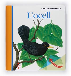 OCELL,L' | 9788466125161 | DELAFOSSE, CLAUDE/METTLER, RENÉ/GALLIMARD JEUNESSE, ÉDITIONS | Llibreria La Puça | Llibreria online d'Arsèguel - Comprar llibres en català online - Llibres Andorra i Pirineu