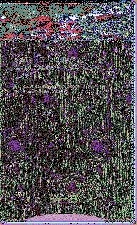 TAO TE CHING.LOS LIBROS DEL TAO | 9788481648355 | LAO TSE | Llibreria La Puça | Llibreria online d'Arsèguel - Comprar llibres en català online - Llibres Andorra i Pirineu