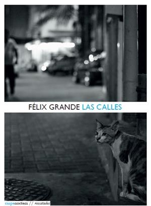 CALLES, LAS | 9788494243226 | GRANDE, FÉLIX | Llibreria La Puça | Llibreria online d'Arsèguel - Comprar llibres en català online - Llibres Andorra i Pirineu
