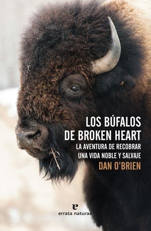BÚFALOS DE BROKEN HEART, LOS | 9788416544073 | O'BRIEN, DAN | Llibreria La Puça | Llibreria online d'Arsèguel - Comprar llibres en català online - Llibres Andorra i Pirineu