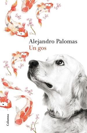 UN GOS | 9788466420426 | PALOMAS, ALEJANDRO | Llibreria La Puça | Llibreria online d'Arsèguel - Comprar llibres en català online - Llibres Andorra i Pirineu