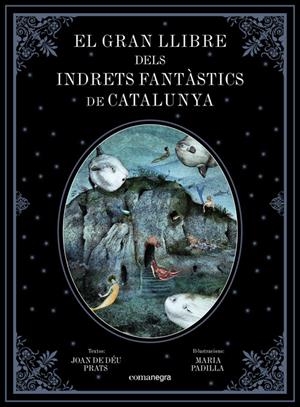 GRAN LLIBRE DELS INDRETS FANTÀSTICS DE CATALUNYA, EL | 9788417188344 | PRATS, JOAN DE DEU | Llibreria La Puça | Llibreria online d'Arsèguel - Comprar llibres en català online - Llibres Andorra i Pirineu