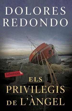 ELS PRIVILEGIS DE L'ÀNGEL | 9788417423971 | REDONDO, DOLORES | Llibreria La Puça | Llibreria online d'Arsèguel - Comprar llibres en català online - Llibres Andorra i Pirineu