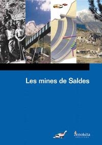 MINES DE SALDES,LES | 9788493296988 | PICAS BOIX, JOSEP | Llibreria La Puça | Llibreria online d'Arsèguel - Comprar llibres en català online - Llibres Andorra i Pirineu